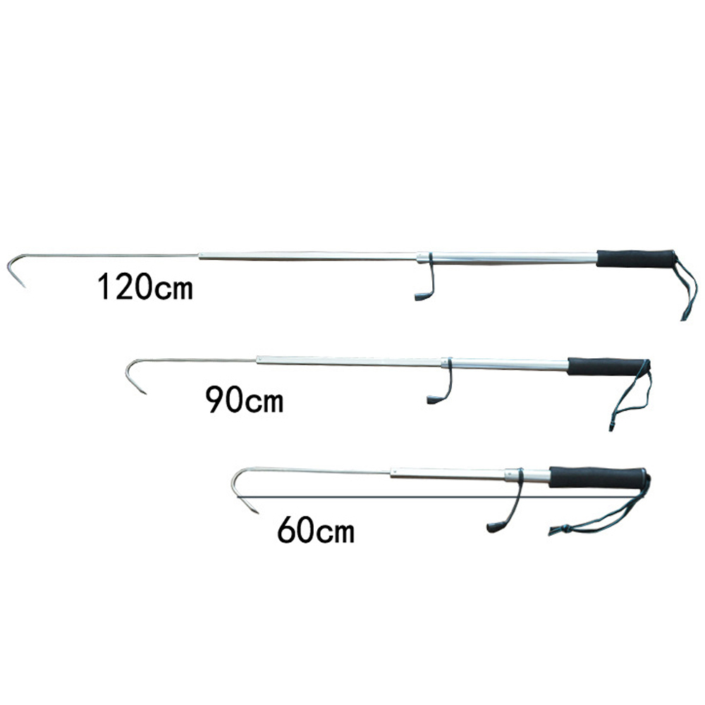 Teleskopischer Fischgaff aus E – Fishing Equipment On Sale Bewertung und Preis